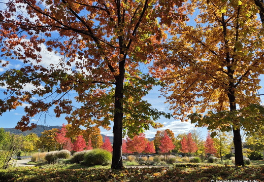 25-10-18-cjd-zaehringer strasse-002