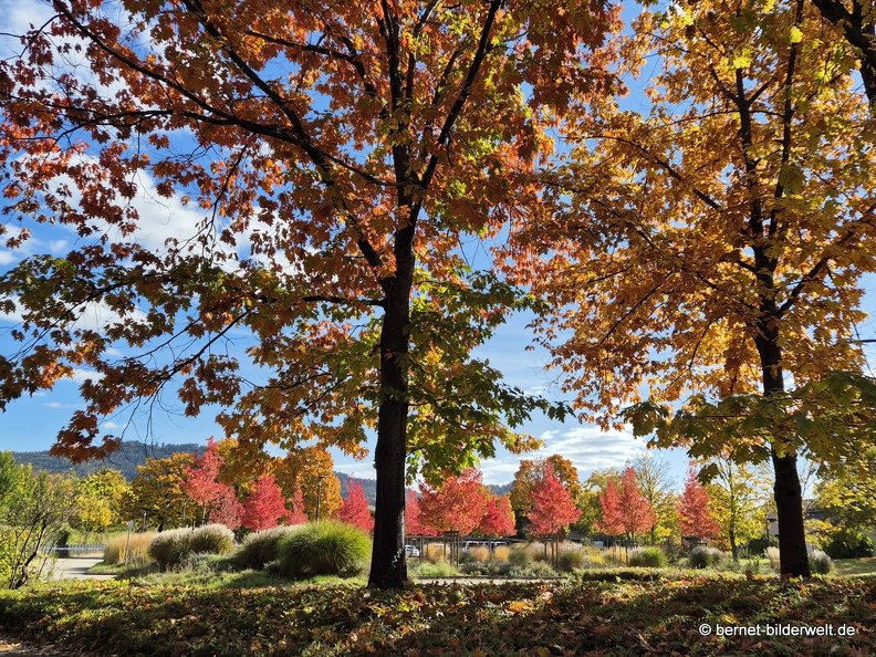 25-10-18-cjd-zaehringer strasse-002.jpg