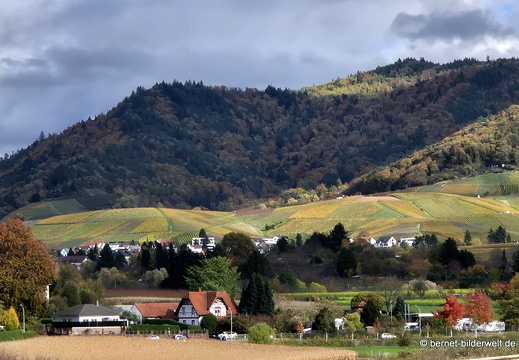 25-10-25-suedring-kleingaerten--002