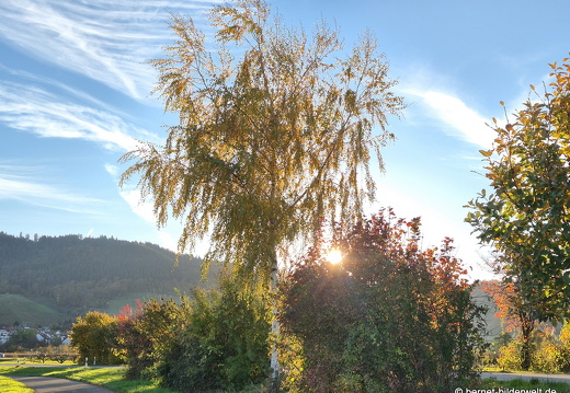 25-10-29-suedring-001