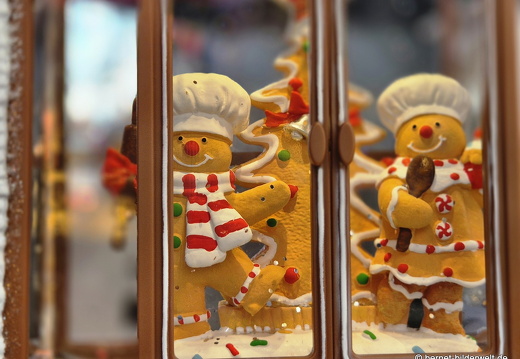 25-11-06-obi-weihnachtsmarkt-011