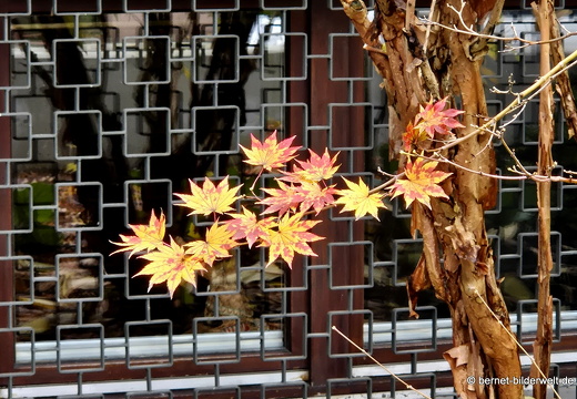 25-11-02-gebrueder-grimm-weg-003