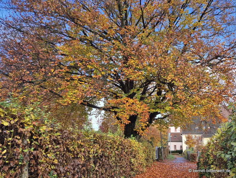 25-11-02-gebrueder-grimm-weg-002.jpg