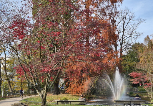 25-11-06-zwinger-001