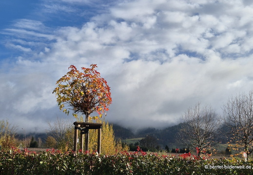 25-11-17-schwarzwaldstrasse-001