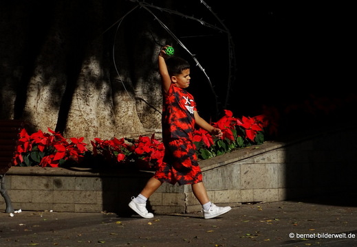 25-12-08-los llanos-165