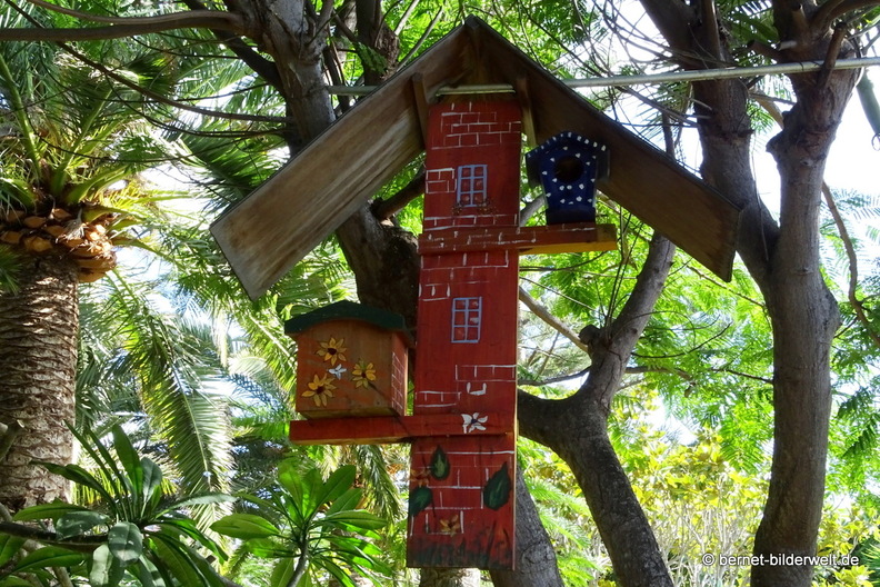 25-12-08-los llanos-adjovimar-garten-013.jpg