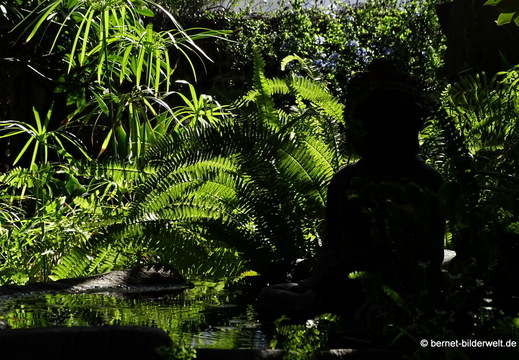 25-12-08-los llanos-adjovimar-garten-036