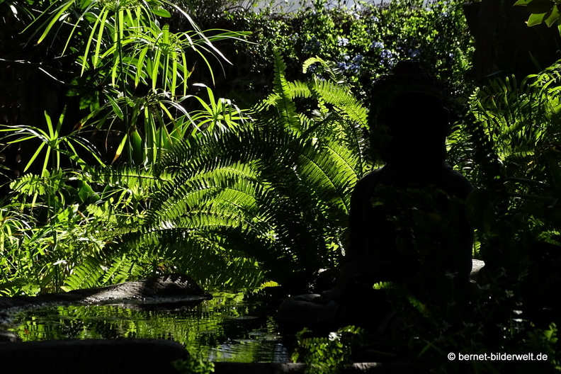 25-12-08-los llanos-adjovimar-garten-036.jpg