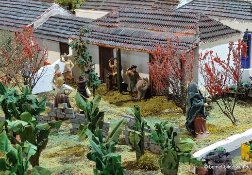 25-12-08-los llanos-bethlehem-002