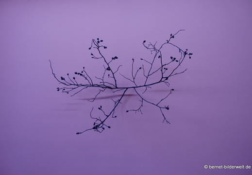25-11-21-kunstgalerie-fruchtig-