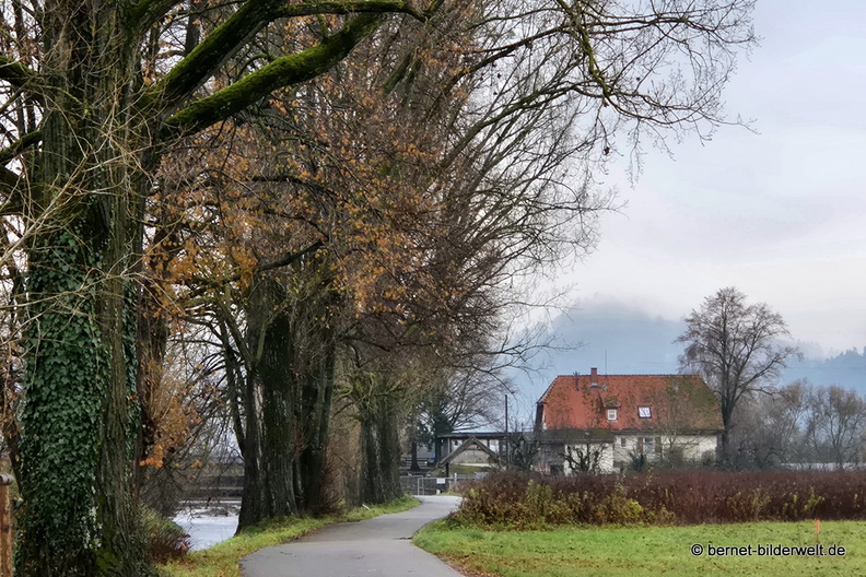 25-11-26-am grossendeich-002.jpg