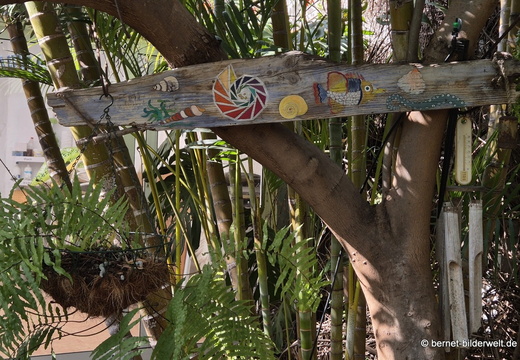 25-12-07-los llanos-adjovimar-garten-008