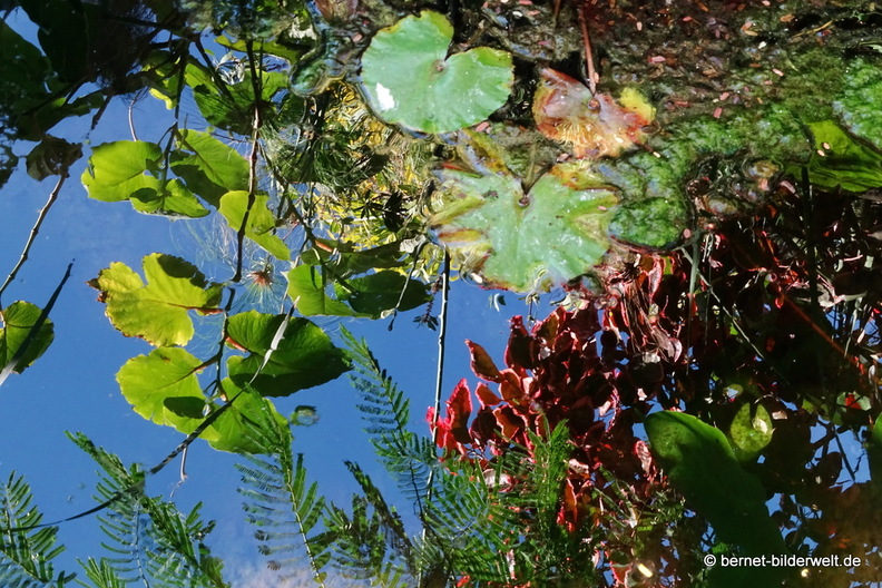 25-12-09-los llanos-adjovimar-garten-018.jpg