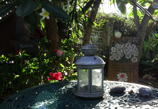 25-12-09-los llanos-adjovimar-garten-033