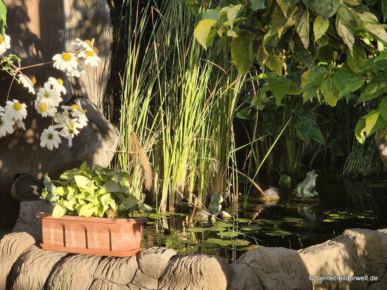 25-12-12-los llanos-adjovimar-garten-009.jpg