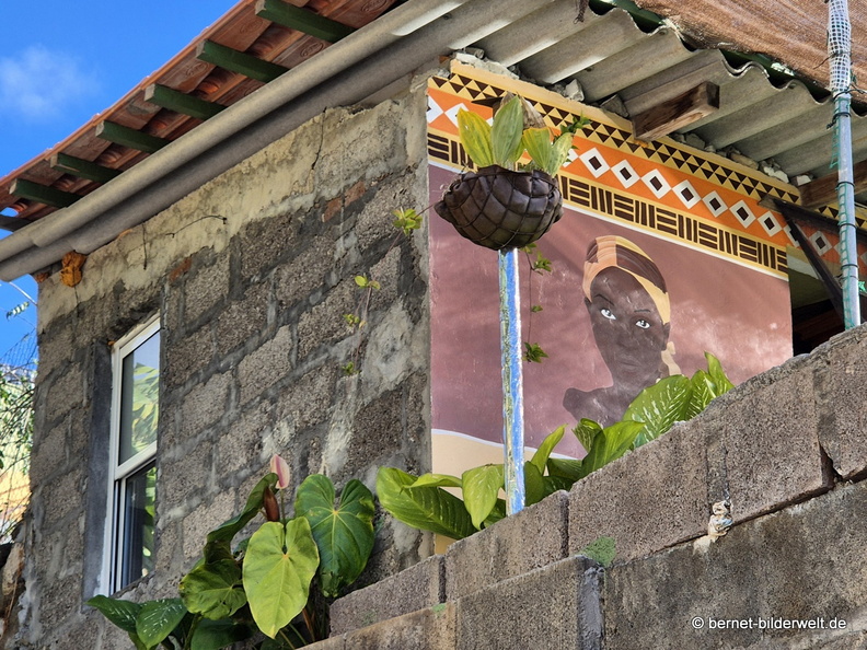 25-12-19-los llanos-wandbild-.jpg