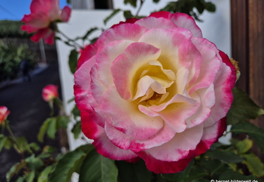 25-12-14-los llanos-018