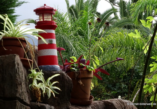 25-12-25-los llanos-adjovimar-garten-029