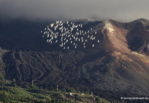 25-12-21-los llanos-adjovimar-aussicht-sonnenuntergang-vulkan-tajogaite-
