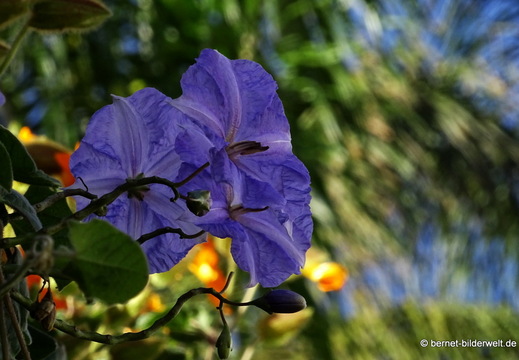 25-12-21-los llanos-033