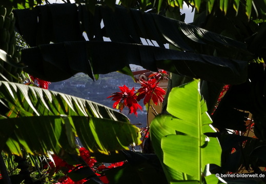 25-12-21-los llanos-036