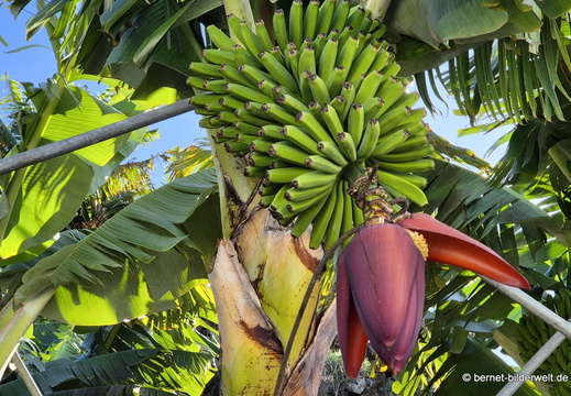 25-12-24-los llanos-016