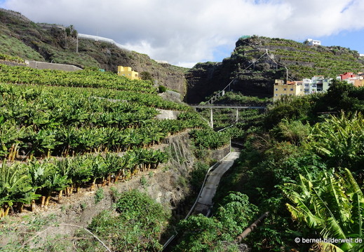 26-01-06-tazacorte-080