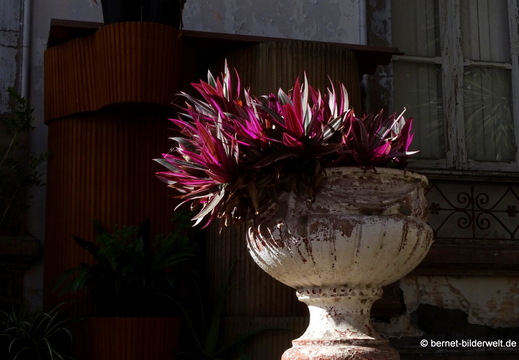 26-01-11-tazacorte-051