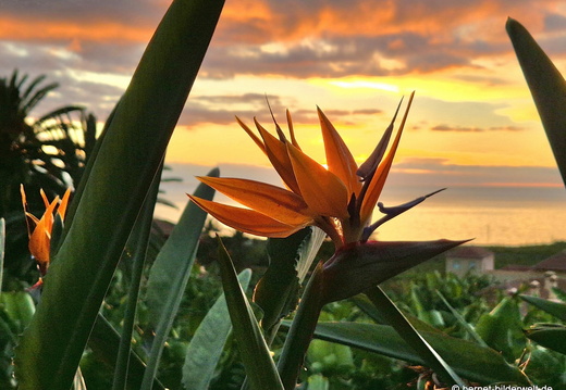 26-01-11-tazacorte-sonnenuntergang-023