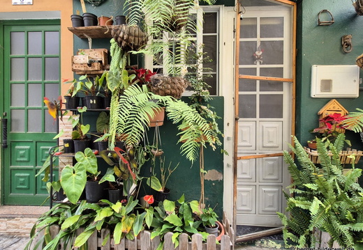 26-01-11-tazacorte-vorgarten-002