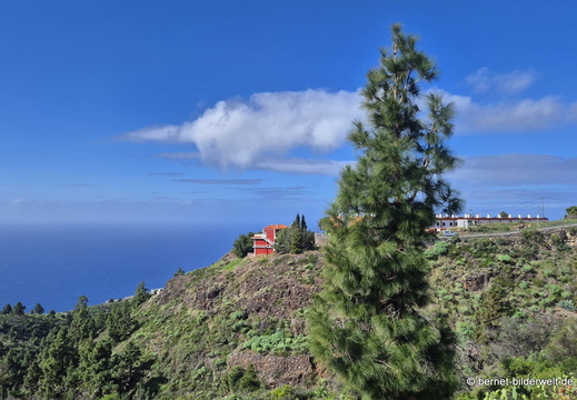 26-01-13-unterwegs-puntagorda-tazacorte-002