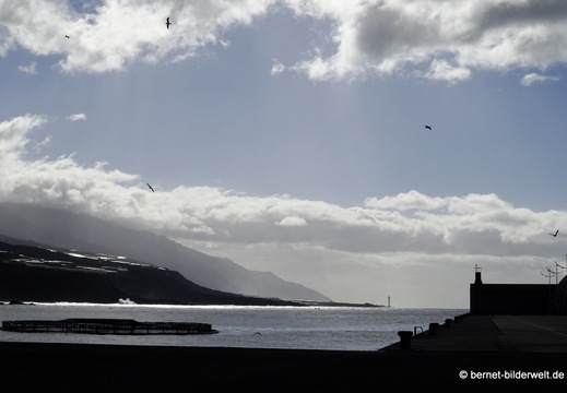 26-01-14-puerto tazacorte-075