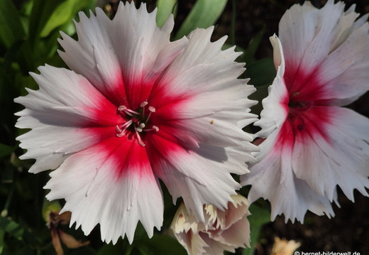 26-01-17-tazacorte-108