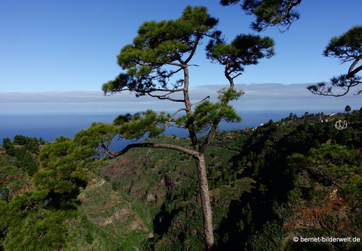 26-01-20-puntagorda-mirador de izcagua-001