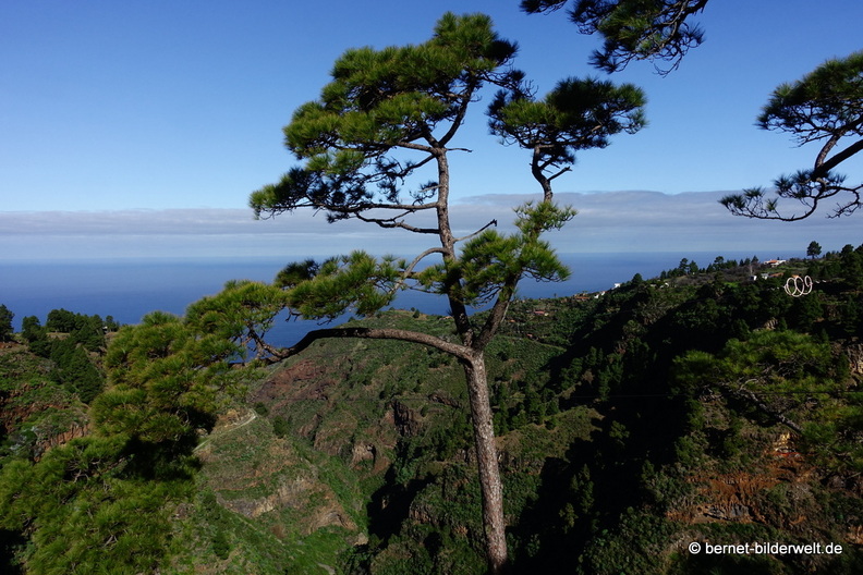 26-01-20-puntagorda-mirador de izcagua-001.jpg