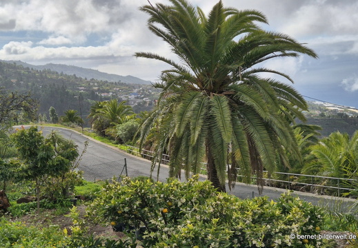 26-01-22-tijarafe-114