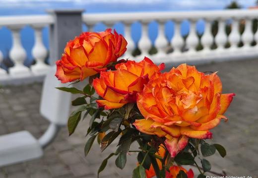 26-01-22-tijarafe-136