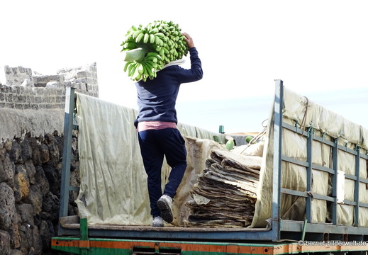 26-01-23-tazacorte-008