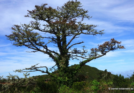 26-02-04-barlovento-120