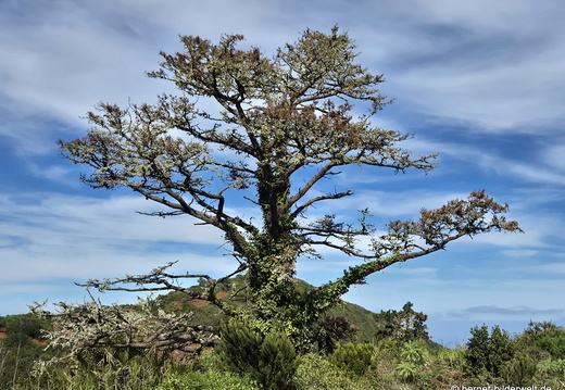 26-02-04-barlovento-123