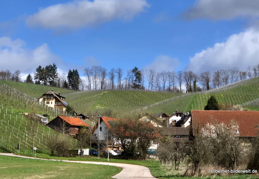 26-03-12-durbach-015