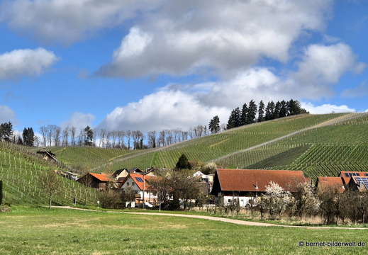 26-03-12-durbach-014