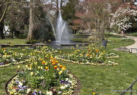 26-03-24-fruehling-zwinger-