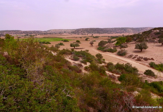 13-11-08-kumyali-059