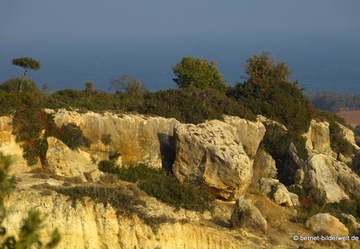 13-11-11-kumyali-080