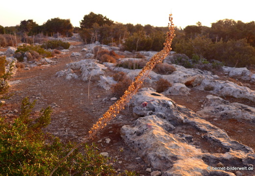 13-11-16-kumyali-sonnenaufgang-plateau-114