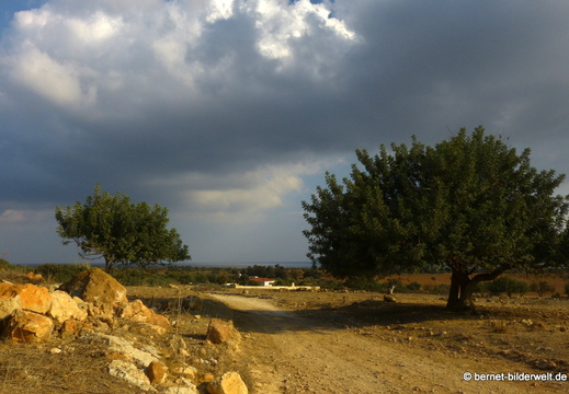 13-11-21-kumyali-017