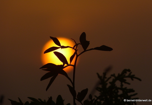 13-11-24-kumyali-sonnenaufgang-meer-015
