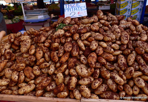 13-11-21-gazimagusa-markt-346